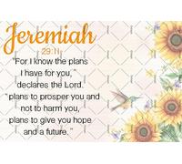 Christian Jeremiah 29:11 Metal Tin Sign For I Know The Plans I Have For You Jeremiah 29:11 Poster Bible Verse Scripture Wall Decor Church Religious Wall Decor Christian Quote Metal Plaque 8x12 Inch