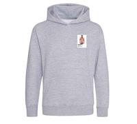 Christian Pulisic USA Icon Frame Kids Hoodie - Gray / 18-24 months