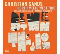 Christian Sands, Thomas Fonnesbaek & Rasmus Kihlberg - Between Then and Now [VINYL]