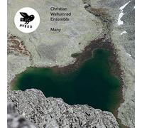 Christian Wallumrod Ensemble - Many