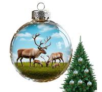 Christmas Ball Ornaments - Transparent Seasonal Hanging Decorations, Festive Holiday Tree Ornaments, Clear Decorative Balls | Dinner School Restaurant Shopping Mar