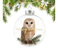 Christmas Balls for Decoration | Hummingbird Decoration - Birds for Christmas, for the Table, Home, Window, Kitchen, Living Room, Bedroom and for Women