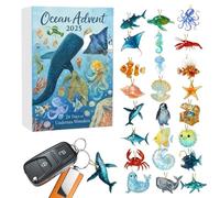 Christmas Calendar Advent - 2D Acrylic Ornament, 24 Days Countdown Calendar To Christmas Toys | 2025 Occean Hangable Countdown For Learning Development Family Fun Activity Teens Girls Boys Kids