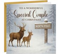 Christmas Card For a Special Couple Xmas Greetings Cards Beautiful Snow Scene Deer Stag Reindeer Design Mum Dad Auntie Uncle Friends