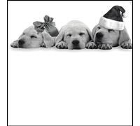 Christmas Card For Dog Lover | Black and White Photograph of 3 Labrador Pups - Blank Inside