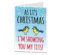 Christmas Card For Husband Boyfriend Funny Silly Showing You My Tits!
