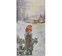 Christmas Card for Nephew with Robin and house