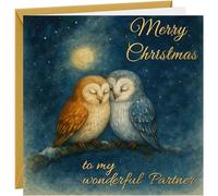 Christmas Card For Partner 'Merry Christmas To My Wonderful Partner' Beautiful Owl Design 350gsm Hammered Card With Gold Foil & Envelope