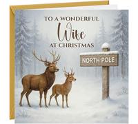 Christmas Card For Wife Hammered Card Xmas Greetings Cards Beautiful Snow Scene Stag Dear Stag Deer Reindeer Design