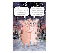 Christmas Card, Funny Humour Text Cold pigs - 7 x 5 inches - Piccadilly Greetings