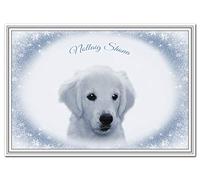 Christmas Card in different languages - Cute Labrador Puppy Dog Xmas cards (Nollaig Shona - Irish Gaelic)