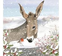 Christmas Cards 6 Pack Donkey and Robin - Charity Xmas Cards Made in the UK