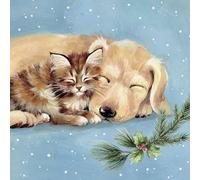 Christmas Cards 6 Pack Labrador and Kitten - Charity Xmas Cards Made in the UK