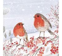 Christmas Cards 6 Pack Robins on a Branch - Charity Xmas Cards Made in the UK