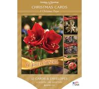 Christmas Cards - A Christmas Prayer - 12 Cards with NIV Scripture - Assorted Boxed Greeting Cards