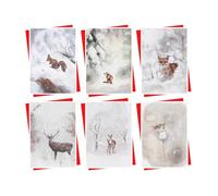 Christmas Cards Boxed | 30 Pack Xmas Cards Multipack | 6 Unique Woodland Wildlife Snowy Winter Animal Scene Designs Festive Seasons Greetings For Friends Family