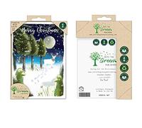 Christmas Cards Into the Green Publishing 100% Plastic Free ECO Friendly Pack of 10 Xmas with Envelopes (Reindeer in Moonlight)