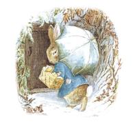 Christmas Cards Pack of 8 Peter Rabbit Home - Illustrated Traditional Xmas Set