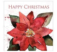 Christmas cards pack - Poinsettia, 10 Christmas cards 2025 with 10 white envelopes - Designed, printed and hand-packed in the UK, by Just Cards Direct