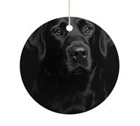 Christmas Ceramic Ornament 2.9 Inch - Double-Sided Round Xmas Tree Decor, Black Lab Ornament for Xmas Home Decor, Lightweight & Fade-Resistant