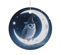 Christmas Ceramic Ornament 2.9 Inch - Double-Sided Round Xmas Tree Decor, Magic - Hat Owl Ornament for Xmas Home Decor, Lightweight & Fade-Resistant