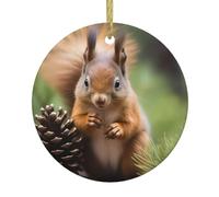 Christmas Ceramic Round Pendant HHGFASD Squirrel holding a pinecone Pattern Festive Tree Hanging Decoration