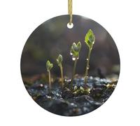 Christmas Ceramic Round Pendant HHGFASD Young sprouts in the rainy season Pattern Festive Tree Hanging Decoration