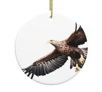Christmas Ceramic Round Pendant YTUOPWE Eagle in the sky Picture Festive Tree Hanging Decoration