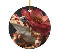 Christmas Ceramic Round Pendant YTUOPWE Flower Tree Frog Picture Festive Tree Hanging Decoration