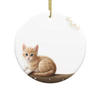 Christmas Ceramic Round Pendant YTUOPWE Kitten looking at the stars Picture Festive Tree Hanging Decoration
