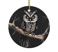 Christmas Ceramic Round Pendant YTUOPWE Late Night Owl Picture Festive Tree Hanging Decoration