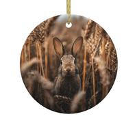 Christmas Ceramic Round Pendant YTUOPWE Little rabbit in the wheat field Picture Festive Tree Hanging Decoration