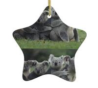 Christmas Ceramic Star Ornaments WHJSHOP Cute Koala bear Prints Hanging Home Decor For Shopping Centres Homes and Retail Outlets