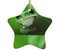 Christmas Ceramic Star Ornaments WHJSHOP green Frog the Leaves Prints Hanging Home Decor For Shopping Centres Homes and Retail Outlets