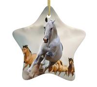 Christmas Ceramic Star Ornaments WHJSHOP Wild Animal Horses Pattern Prints Hanging Home Decor For Shopping Centres Homes and Retail Outlets