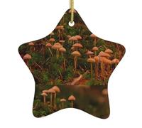 Christmas Ceramic Star Ornaments WHJSHOP wild mushroom Prints Hanging Home Decor For Shopping Centres Homes and Retail Outlets