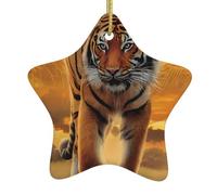 Christmas Ceramic Star Ornaments YYHHAOFA Rising Sun Tiger Picture Hanging Home Decor For Shopping Centres Homes and Retail Outlets