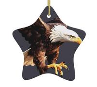 Christmas Ceramic Star Pendant-Decorated With Five-Pointed Stars Printed On Both Sides, White Porcelain Christmas Day Atmosphere Decoration Souvenir (With Gold Lanyard)