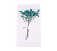 Christmas Charm Dried Flower Greeting Card Festive Design Natural Holiday Sentiments Idea Greetings Cards for All Occasions (D, 16X9CM)