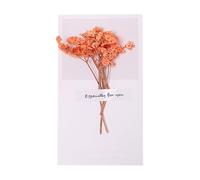 Christmas Charm Dried Flower Greeting Card Festive Design Natural Holiday Sentiments Idea Sympathy Cards with Envelopes (B, 16X9CM)