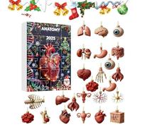 Christmas Countdown - 24 Days of Advent with 2D Figures | Human Body Christmas Calendar with Brain | For Birthday Party Table Wall Cabinet Living Room Bedroom
