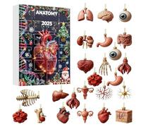 Christmas Countdown Calendar- 2D anatomy figurines for a science-themed holiday; unique pendants for doctors, students, and birthday parties.