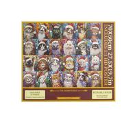 Christmas Countdown Calendar Toy - Home Decor Brain Training
