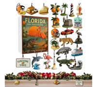 Christmas Countdown Figure - 2D Acrylic Sunshine State Decors,24 Days Countdown Figurines 2025 - for Home Playroom Door Handle Car Interior Party