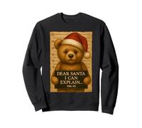 Christmas Dear Santa I Can Explain Funny Cute Teddy Bear Sweatshirt