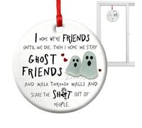 Christmas Decorations on Friendship, Round Christmas Souvenir Ornament - Festive Friendship Ornaments for Tree, Wall, Door, Window, Bedside Home, Office, Party, Birthday, Adults
