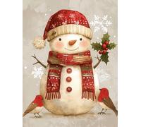 Christmas Decorations Paint By Numbers snowman, bird Painting By Numbers For Adults Kits, DIY Winter Oil Painting On Canvas Arts And Crafts For Adults, For Christmas Room Decor, Unframed 70x90cm p-475
