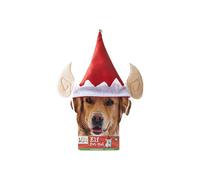 Christmas Elf Pet Hat With Ears