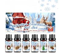 Christmas Essential Oils Set,Christmas Fragrance Oils,Winter Essential Oil for Diffusers,Holiday Essentials for Home,Fragrance Oil for Candle Making & Soap,Scented Gift Set for Home(02Winter Set)