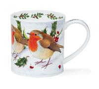 Christmas Festive Birds Robin Iona Shape Mg